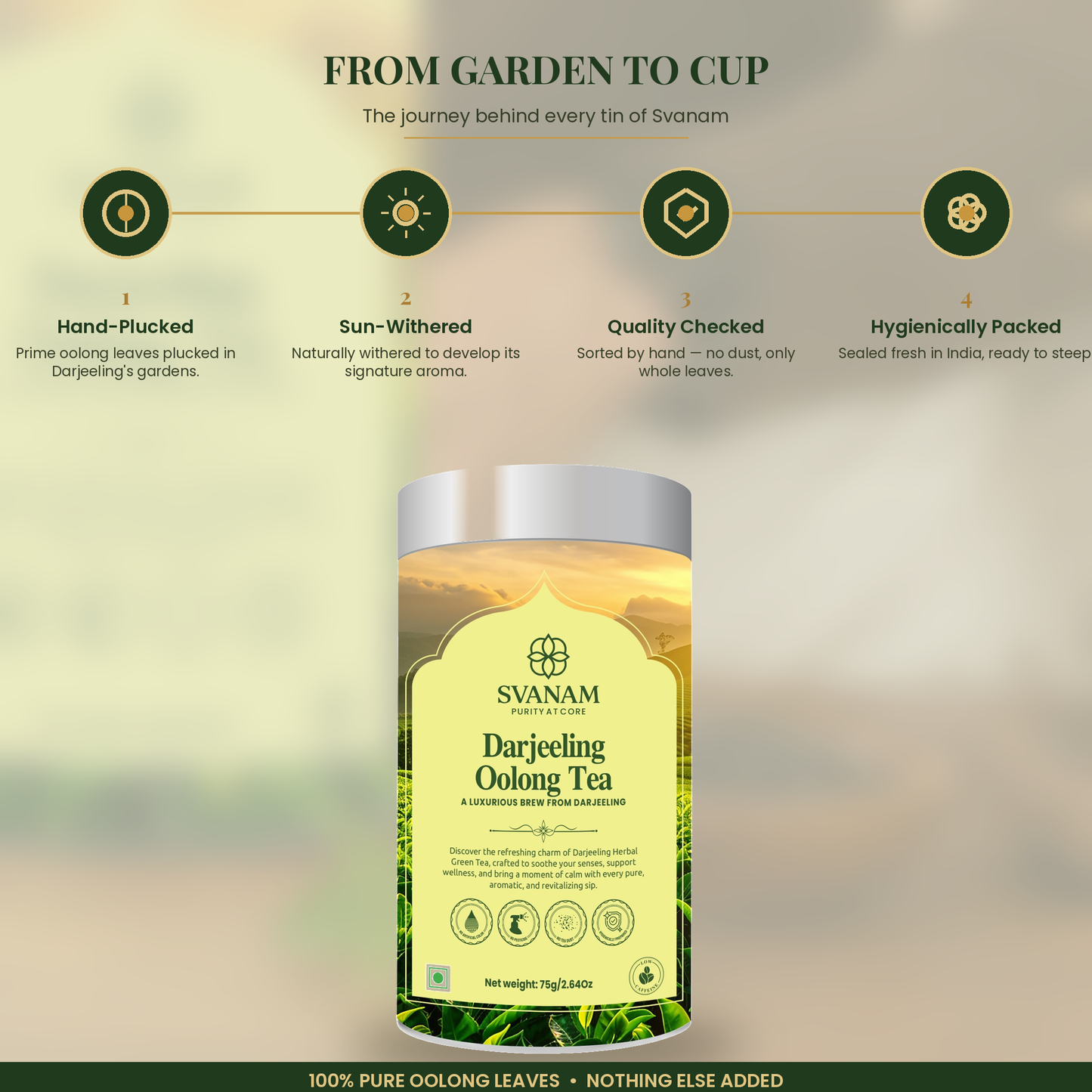 Svanam Darjeeling Oolong Tea