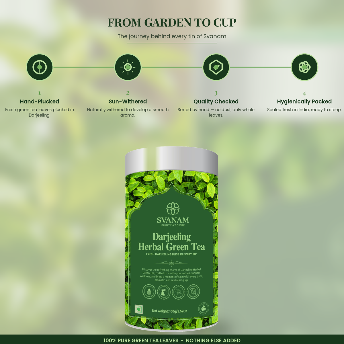 Darjeeling Herbal Green Tea