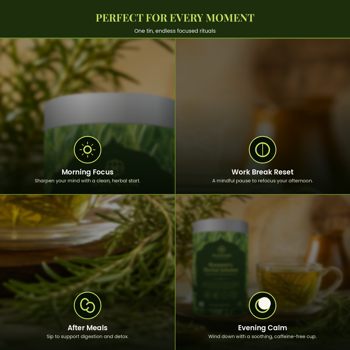 Rosemarry Herbal Infusion